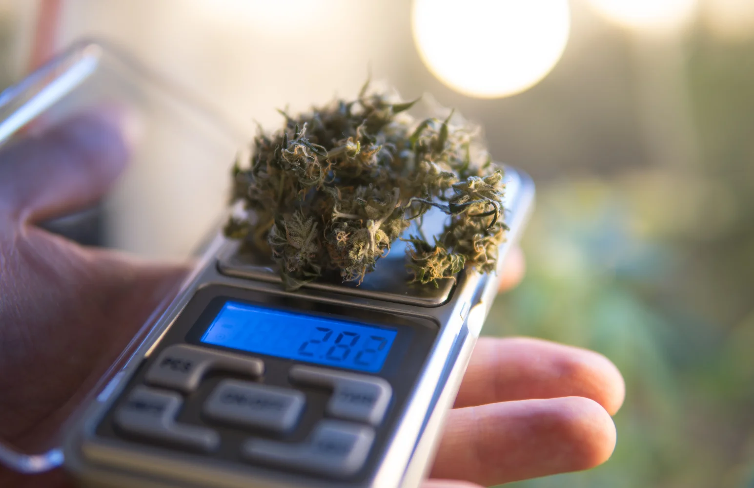 cannabis leak proof packaging