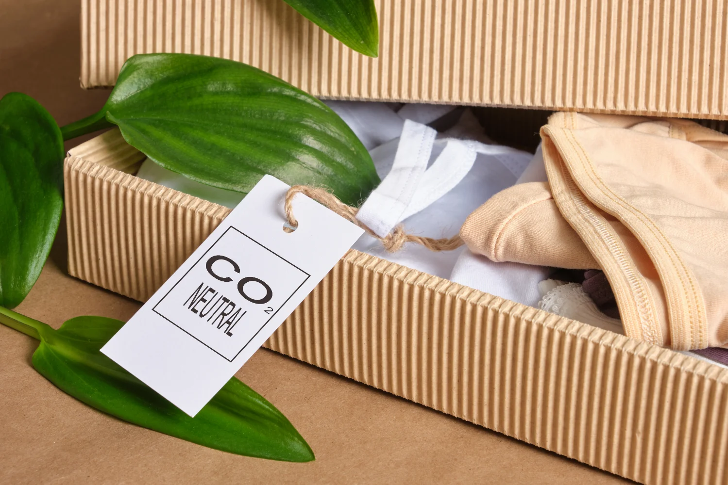 clothing packaging 5