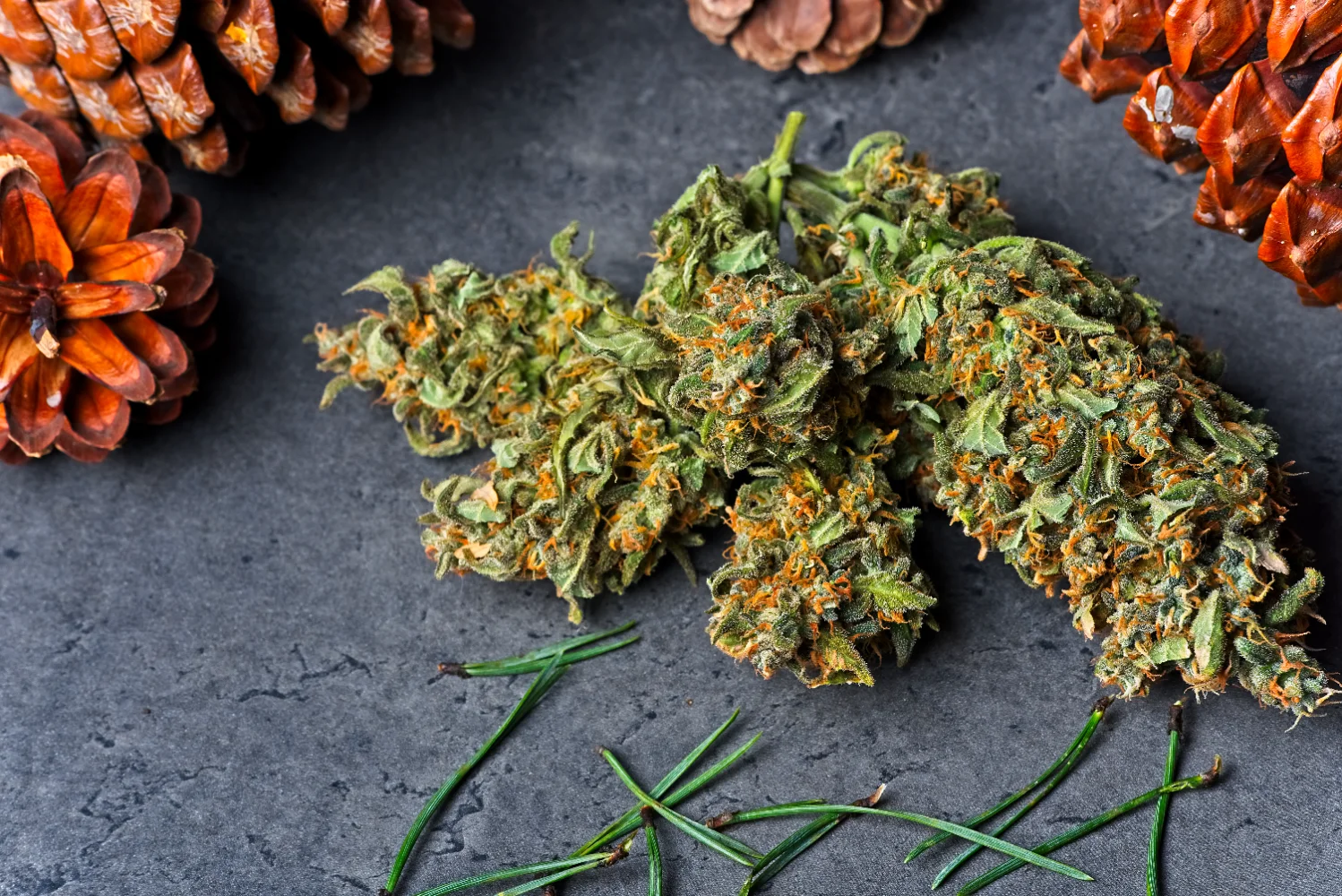 cannabis packaging solutions 13