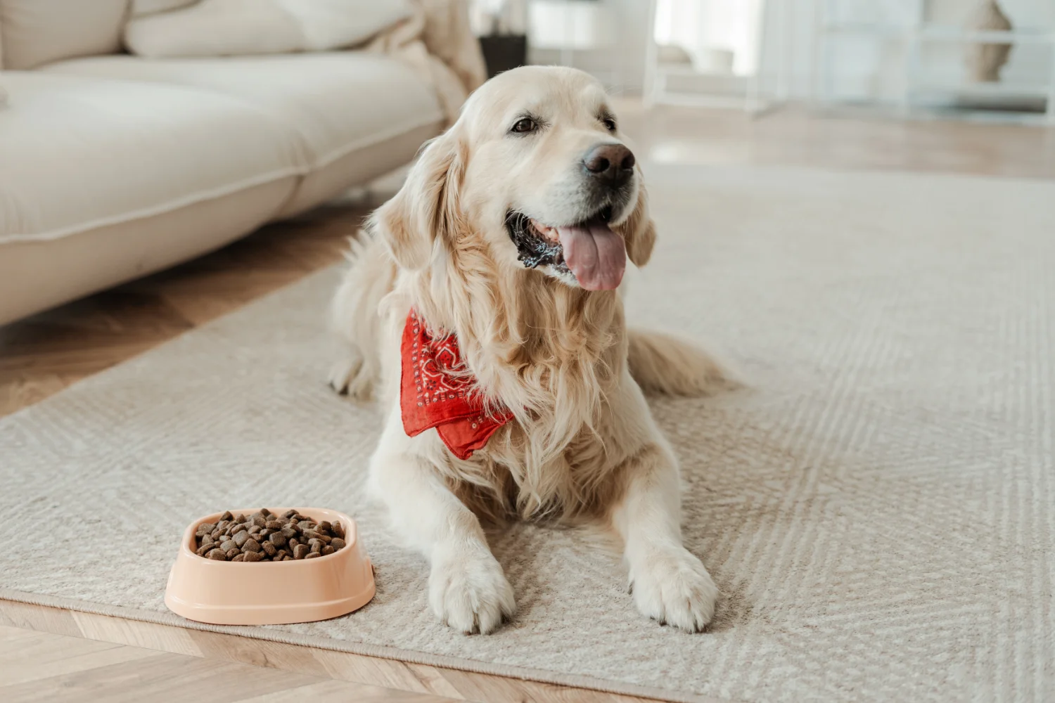 dog food packaging bags 5