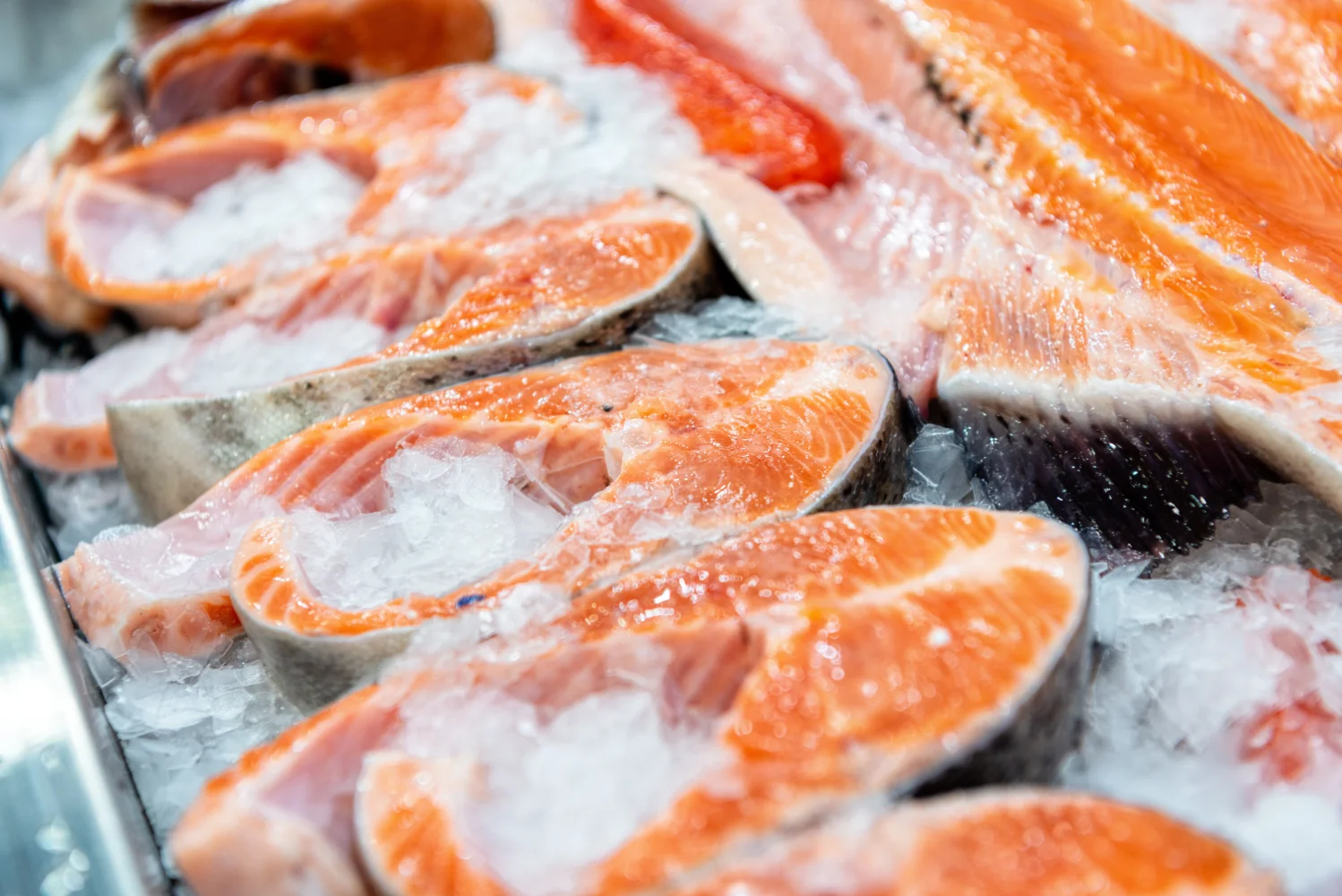 food packaging solutions 4