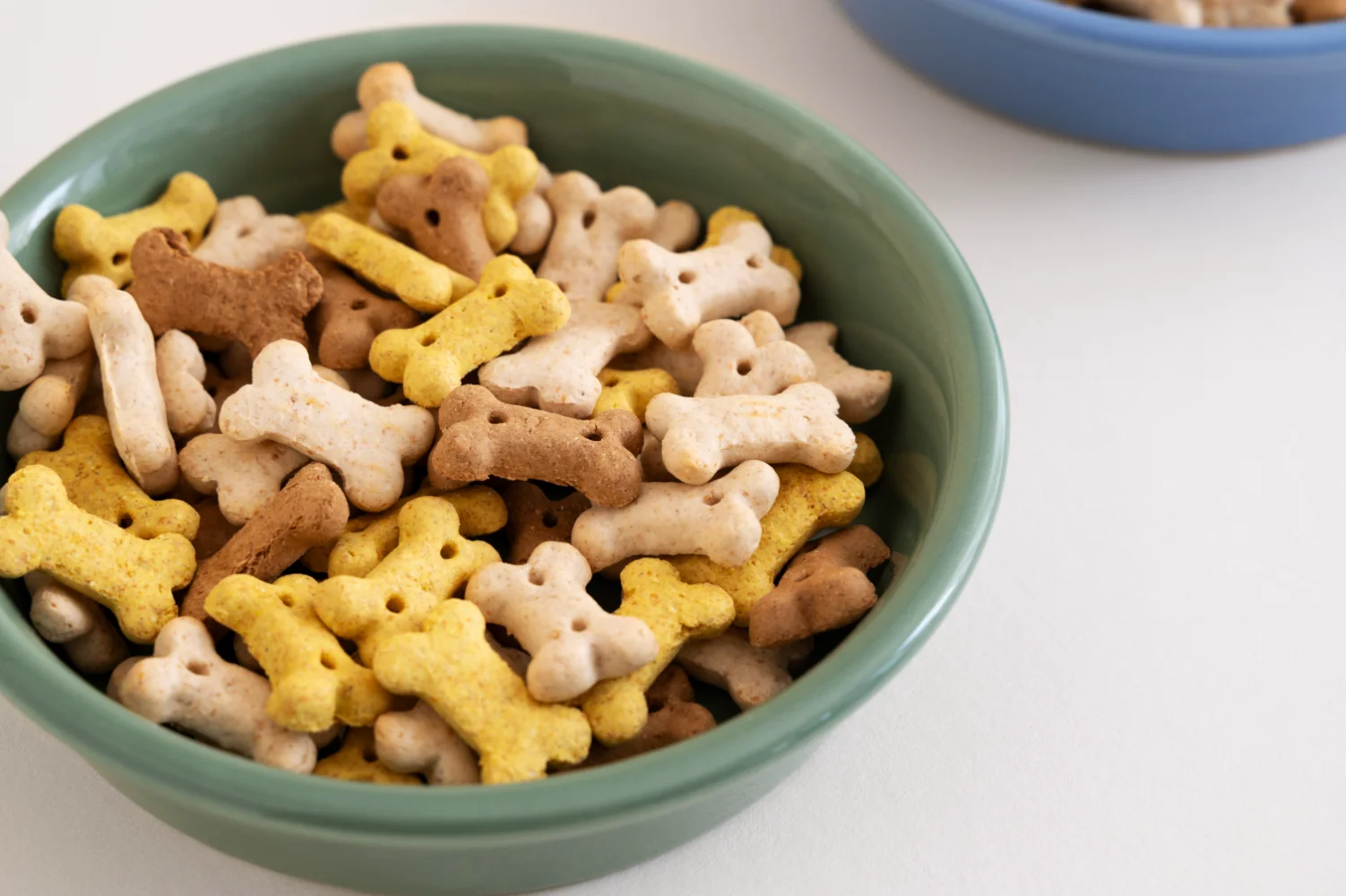 pet food packaging report 2