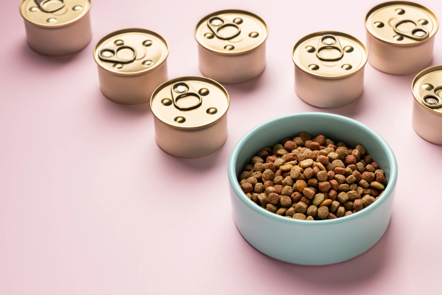 pet food packaging report 6