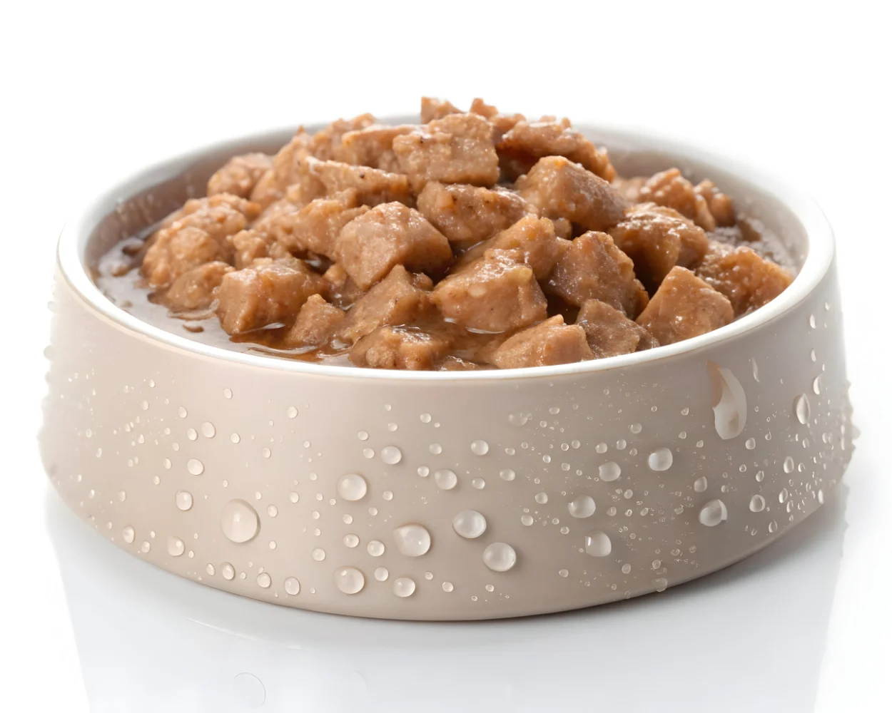 pet food packaging research report 4