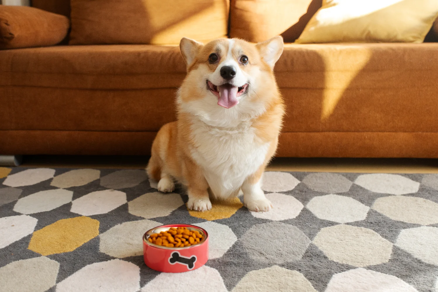 pet food packaging solutions 3