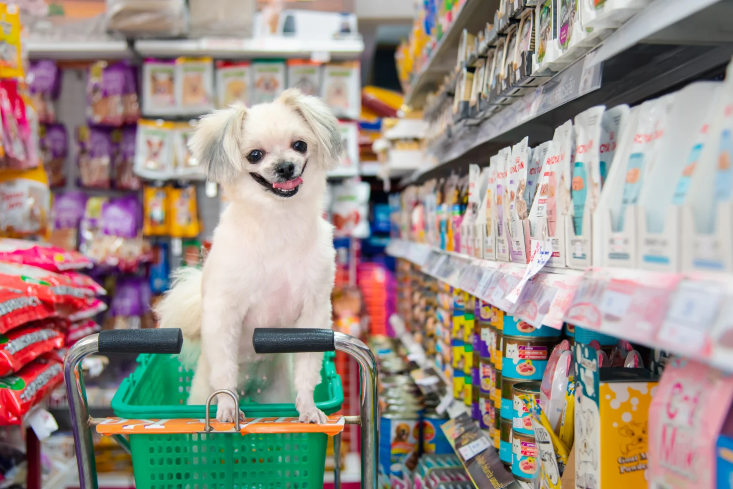 report on consumer concerns in the pet food industry 1