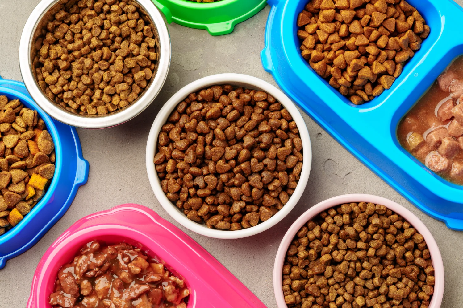 report on consumer concerns in the pet food industry 17