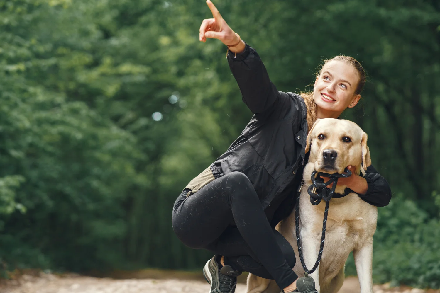 report on consumer concerns in the pet food industry 20