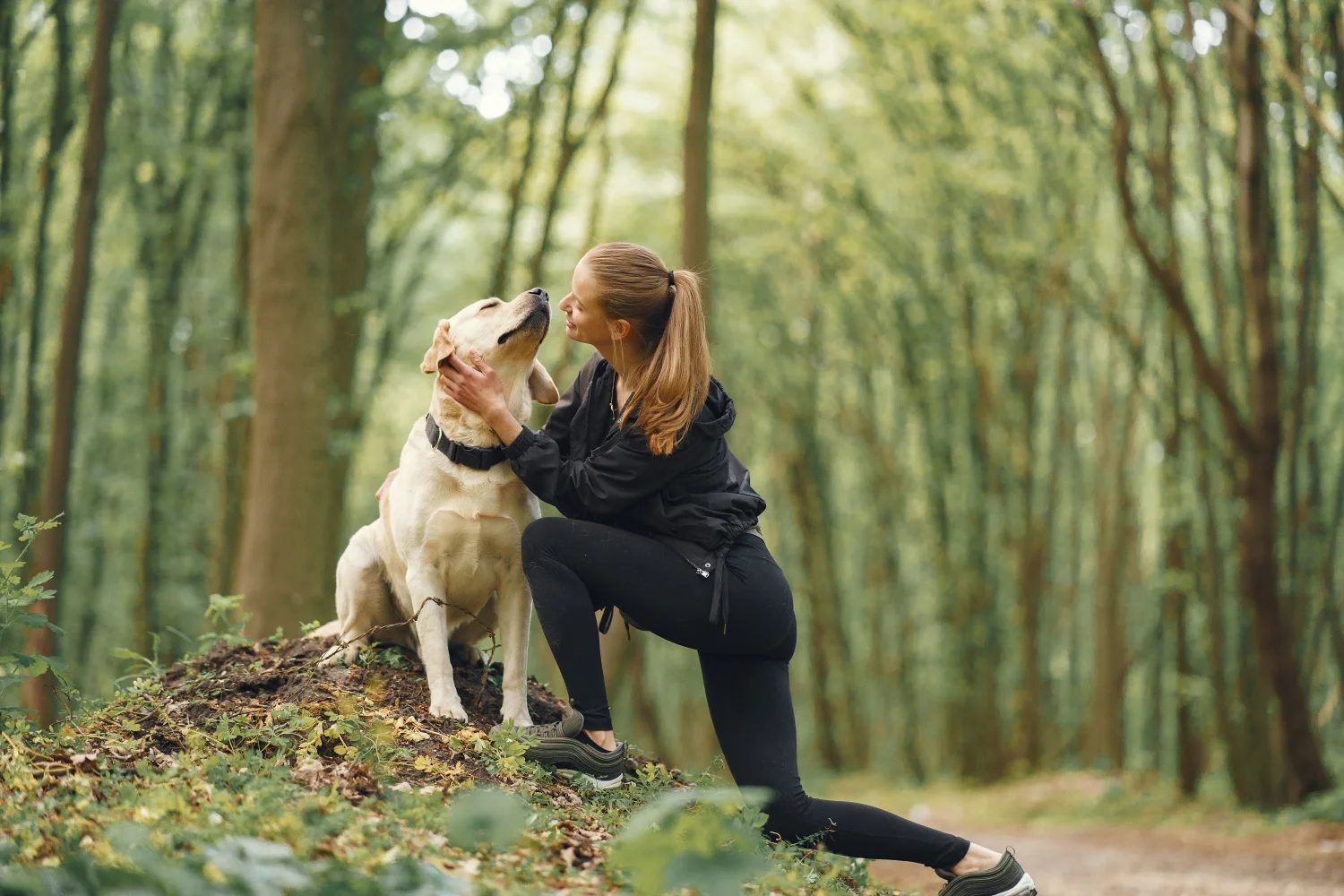 report on consumer concerns in the pet food industry 21