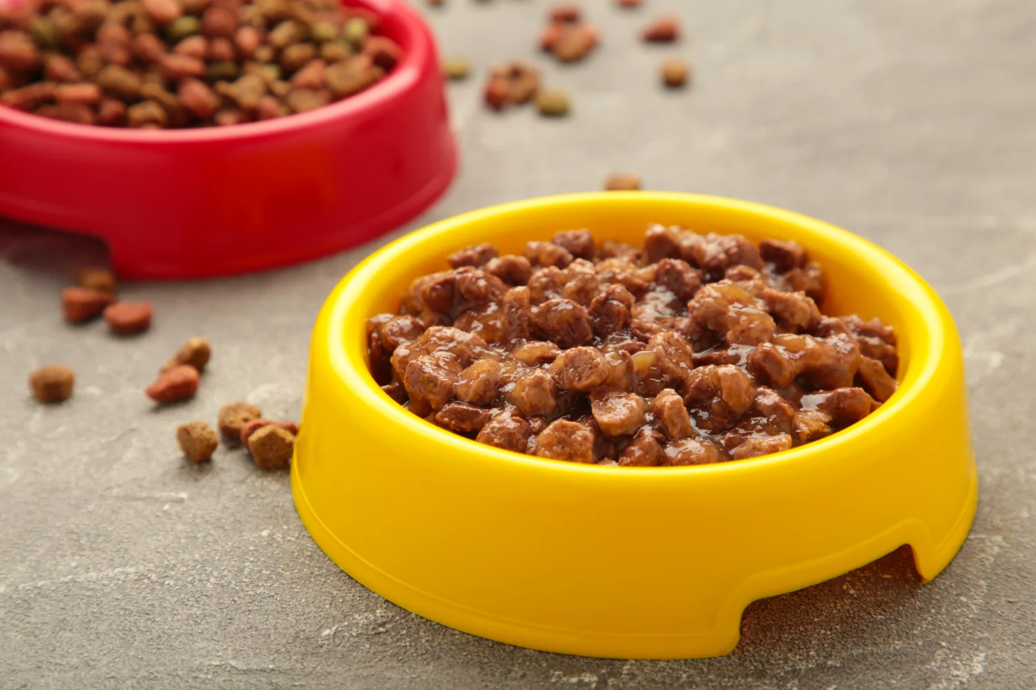 report on consumer concerns in the pet food industry 23