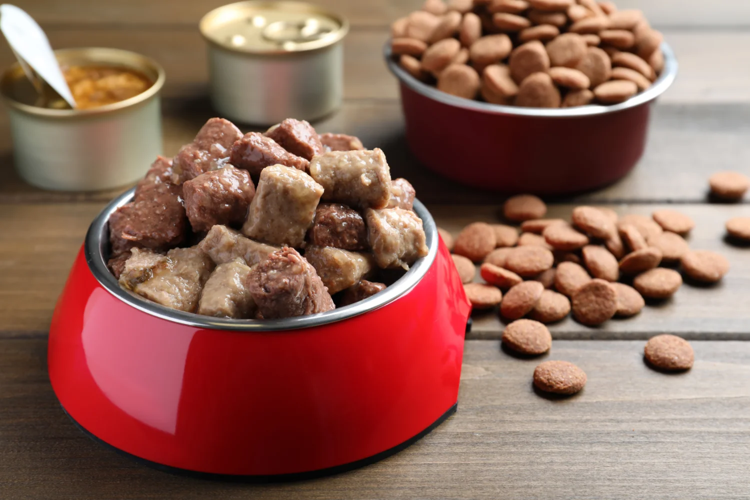 report on consumer concerns in the pet food industry 24