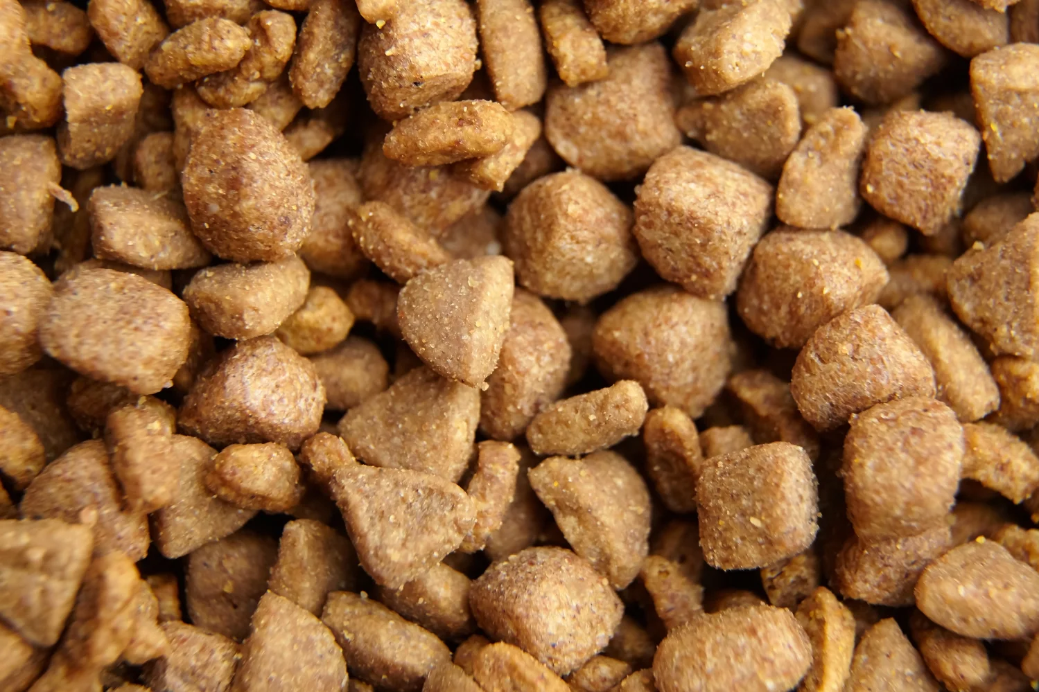 report on consumer concerns in the pet food industry 26