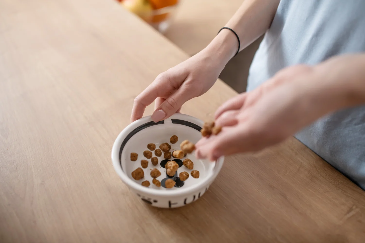 report on consumer concerns in the pet food industry 4