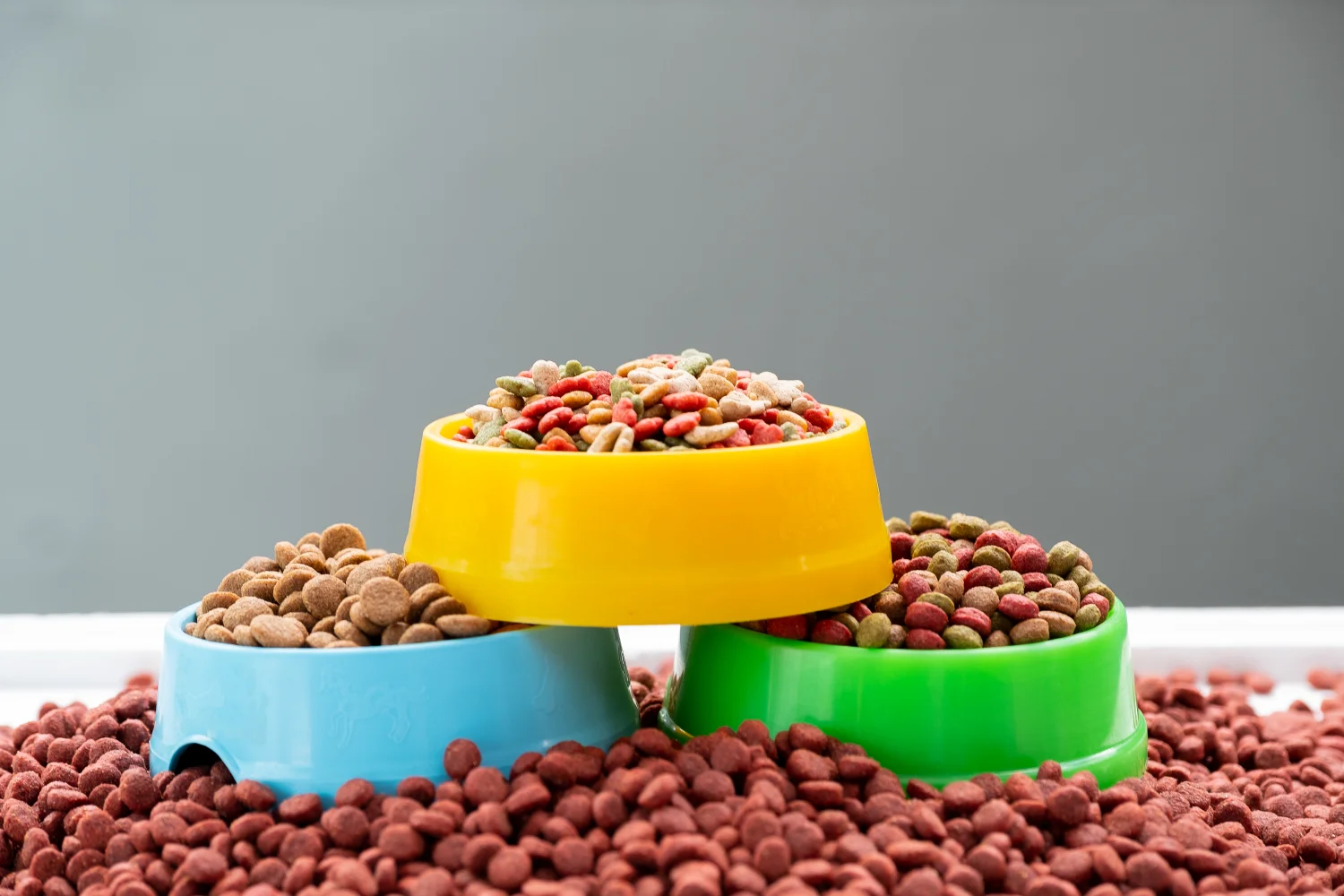 report on consumer concerns in the pet food industry 9