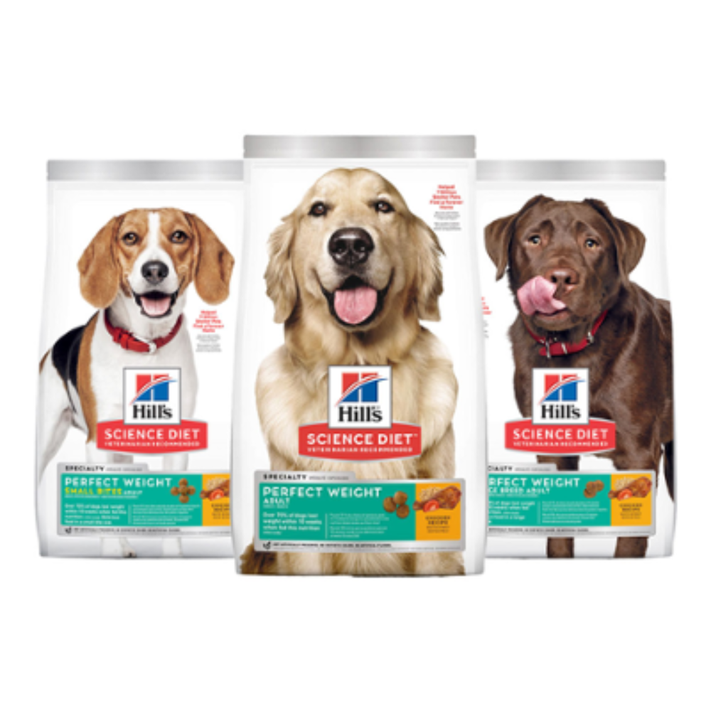 Hill's Science Diet full product packaging lineup — stand-up pouches and flat-bottom bags with white base design pet photography and colour-coded category strips