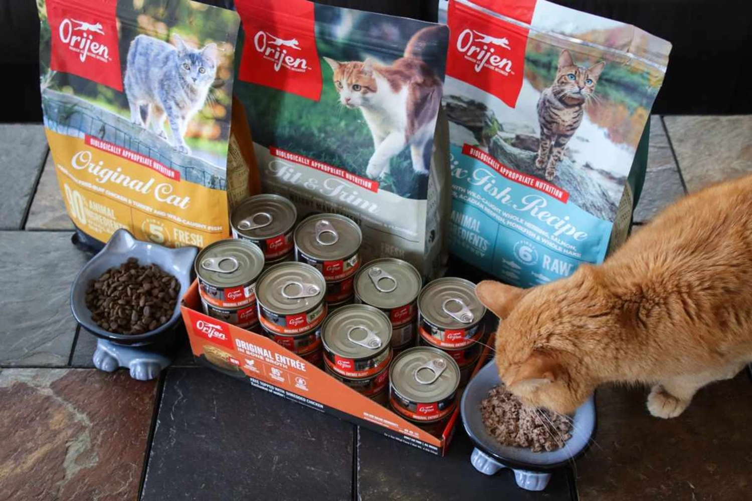 ORIJEN cat food product lineup — dry food bags and wet food cans with cat feeding