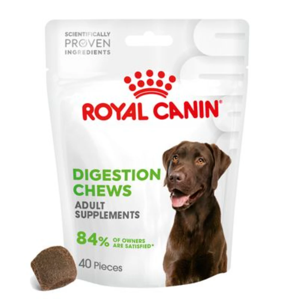 Royal Canin Digestion Chews stand-up pouch packaging — white flexible bag with resealable zipper for adult dog supplement retail