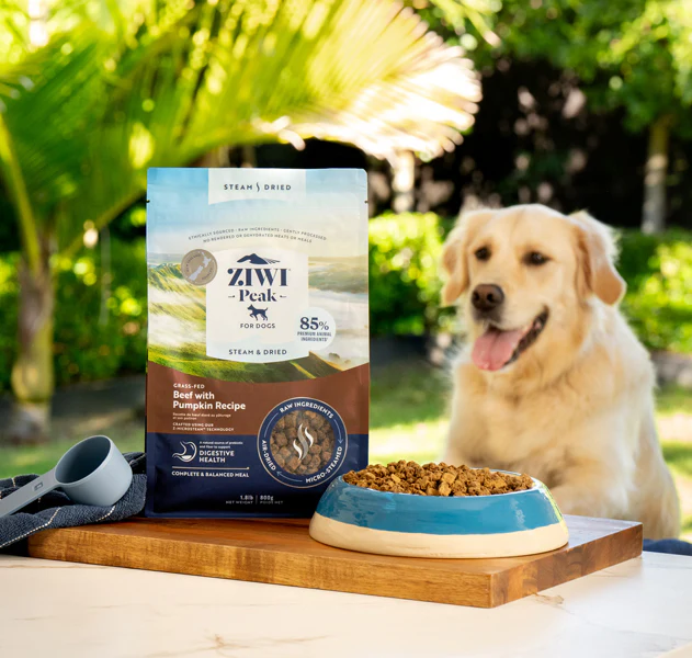 ZIWI Peak beef steam and dried dog food — golden retriever lifestyle feeding scene with flat-bottom pouch